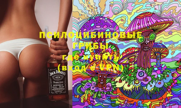 а пвп мука Алзамай