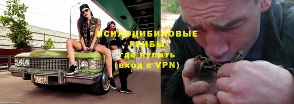 прущие крисы Алексин