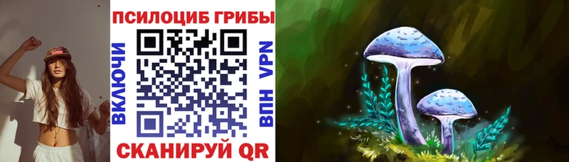 Псилоцибиновые грибы Cubensis  где купить наркоту  Биробиджан 