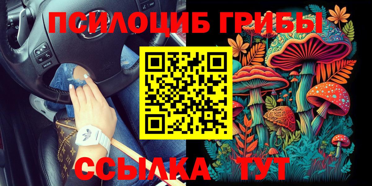 Псилоцибиновые грибы прущие грибы  Вход с VPN  Биробиджан 